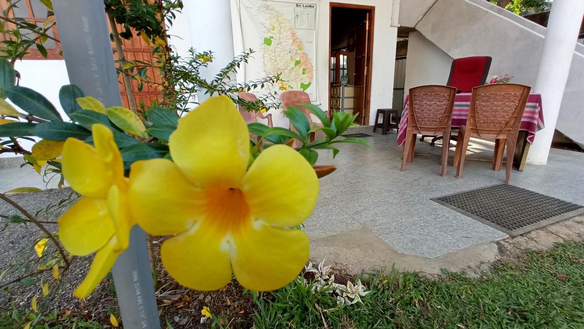 Family Resort Udawalawe Buitenkant foto